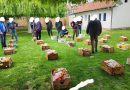 Për 1 Maj ndihmohen 30 familje me pako ushqimore në Vushtrri