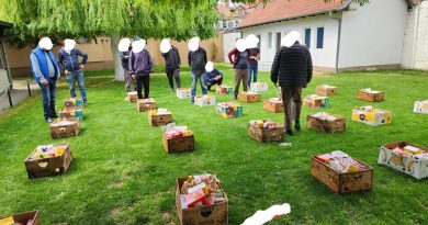 Për 1 Maj ndihmohen 30 familje me pako ushqimore në Vushtrri
