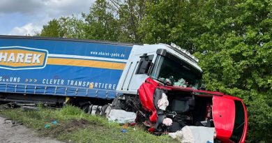 Aksident i rëndë në Gjermani: Kamioni del nga rruga, humbin jetën dy gra