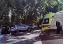 Automjeti përplaset me autobusin në Greqi, vdesin 4 të rinj, mes tyre një shqiptar