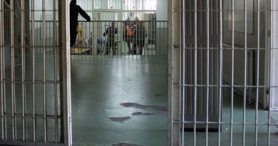 Sikleti i të burgosurve për drogë, kapet sërish marihuanë në Burgun e Dubravës