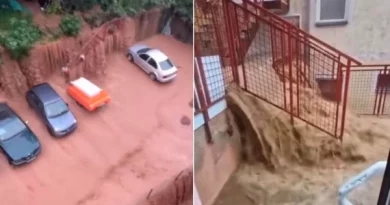 Pamje nga përmbytjet në Beograd: Vërshimet bëjnë “ujëvarë” në kryeqytetin serb, veturat notojnë