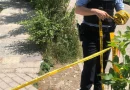 Plagoset me armë një person në Vushtrri, Policia arreston të dyshuarin