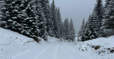 Pamje e mrekullueshme, malet e Istogut mbulohen nga bora