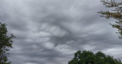 Temperatura të ulëta, në vise të larta pritet edhe borë- Parashikimi i motit për javën e ardhshme