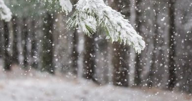 Javën e ardhmshme bien temperaturat në minus, kaq gradë parashihen