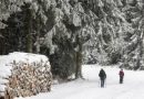 Borë e dendur në Gjermani, anulohen qindra fluturime