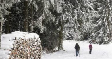 Borë e dendur në Gjermani, anulohen qindra fluturime