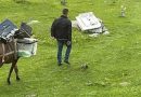 Kukësi me “metodë” speciale, kutitë e votimit në fshatin Bele dorëzohen me gomar