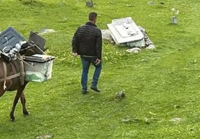 Kukësi me “metodë” speciale, kutitë e votimit në fshatin Bele dorëzohen me gomar