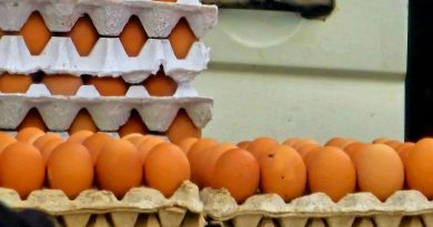 Kafja, qumështi, vezët… Ekonomisti kosovar tregon produktet me rritjen më të madhe të çmimeve në prill