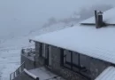 Strellci mbulohet nga bora në mes të majit