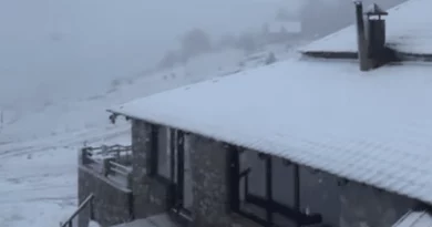 Strellci mbulohet nga bora në mes të majit