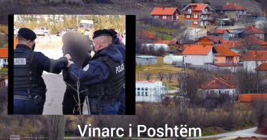 Vinarc i Poshtëm: 44-vjeçari kapet me armë në dorë duke bërë xhiro në fshat