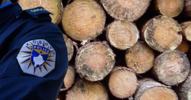 Zbulohen tri raste të kontrabandës me dru – Policia ndalon të dyshuarit