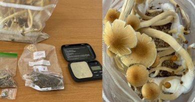 Kapet me ‘këpurdha magjike’  – 26 vjeçari kishte nëntë qese të vogla