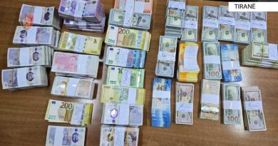 73 vjeçarja shqiptare kapet me 500 mijë euro kesh
