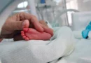 Lajm i mirë: Rritet numri i lindjeve në Kosovë, për 1 muaj lindën 2113 foshnje