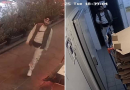 Policia e Kosovës kërkon ndihmë për identifikimin e një të dyshuari për vjedhje