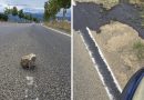Një gur në rrugë i kushton qindra euro një shoferi në Prizren