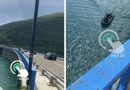 LAJMI I FUNDIT: Dyshohet për një të mbytur në Ujman, kërceu nga ura dhe nuk doli më në sipërfaqe