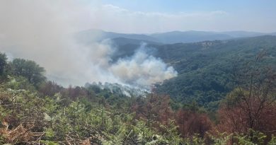 87 vatra zjarri të regjistruara në vend – 8 ende aktive
