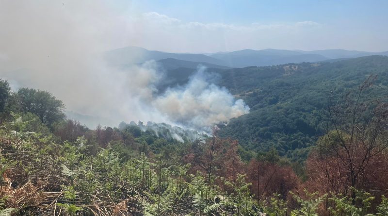 87 vatra zjarri të regjistruara në vend – 8 ende aktive