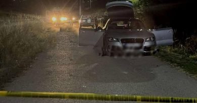 Tre persona u rrahën mes vete në Dumnicë të Poshtme, një plagoset me armë zjarri e tjetri me sëpatë