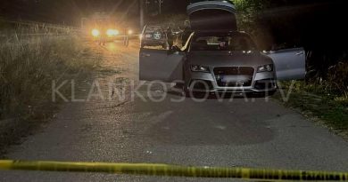 Dyshohet për një të plagosur në Dumnicë të Poshtme, Policia në vendngjarje