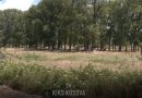 Konflikti për tokë mes dy mitrovicasve, në mes pronarja serbe – e shiti tokën për së dyti