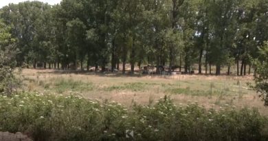 Konflikti për tokë mes dy mitrovicasve, në mes pronarja serbe – e shiti tokën për së dyti