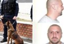 Policia e Kosovës po e kërkon me qen specialë serbin e arratisur nga burgu i Mitrovicës