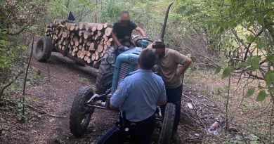 Policia i zë në flagrancë duke vjedhur dru në Zveçan, arrestohen 2 persona