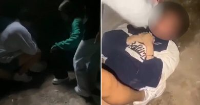 Nëna e vajzës e cila u rrah brutalisht në Gjilan: Nuk kam pasur shpirt me shiku videon