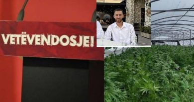 Plantacionet e kanabisit në Gjilan: Kandidati i VV-së për Asamble në mesin e të arrestuarve