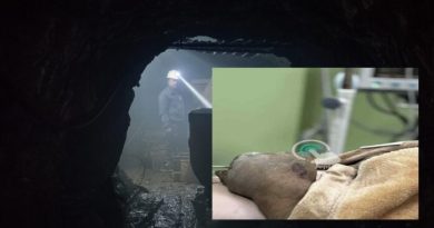 Punëtor i Trepçës lëndohet rëndë në një punishte ku ishte e ndaluar puna – Policia nuk lejohet të hyjë, Inspektorati nuk njoftohet