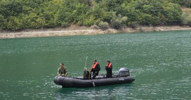 “Tela elektrik në Ujman”, Policia e Prokuroria dalin me komunikatë
