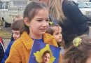 Humb vogëlushja 8 vjeçe te “Rruga B”, kërkohet ndihmë për gjetjen e saj