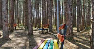 E mitura në Prishtinë raporton se një burrë bëri veprime të pahijshme para saj në park