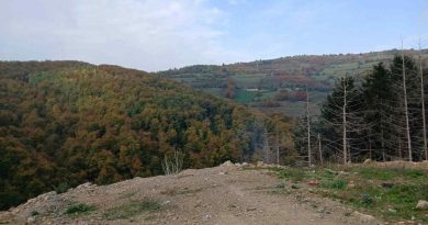 Nesër nisin inspektime afër Novi Pazarit, dyshohet për varrezë masive