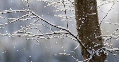 Parashikimi i motit në këtë fillim të muajit Tetor