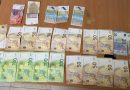 10-vjeçari dorëzon në polici portofolin me mbi 1 mijë euro