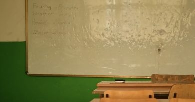 Mësuesi kosovar nuk i di as muajt e vitit, ligjëron gjermanisht pa kryer shkollën