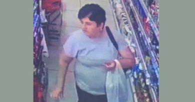 Policia po e kërkon këtë grua të dyshuar për vjedhje