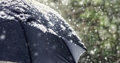 Parashikimi i motit gjatë vikendit