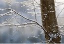 Moti sot: Reshje shiu dhe bore, temperaturat deri në 5°C