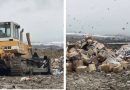Pas publikimit të skandalit, asgjësohen 35 tonë peshk me krimba