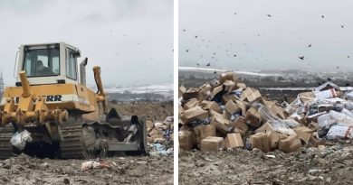 Pas publikimit të skandalit, asgjësohen 35 tonë peshk me krimba