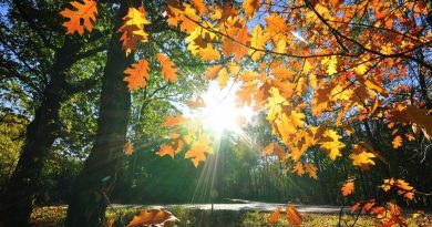 Parashikimi i motit për sot dhe gjatë vikendit