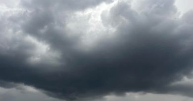 Parashikimi i motit gjatë vikendit